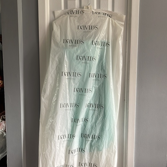 David’s bridal grad dress - Picture 6 of 6